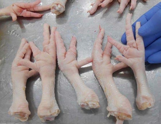 Grade A Certified HALAL Frozen Chicken Feet _ Paws _ Wings